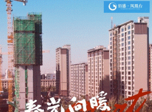 盐山佰盛.凤凰台小区